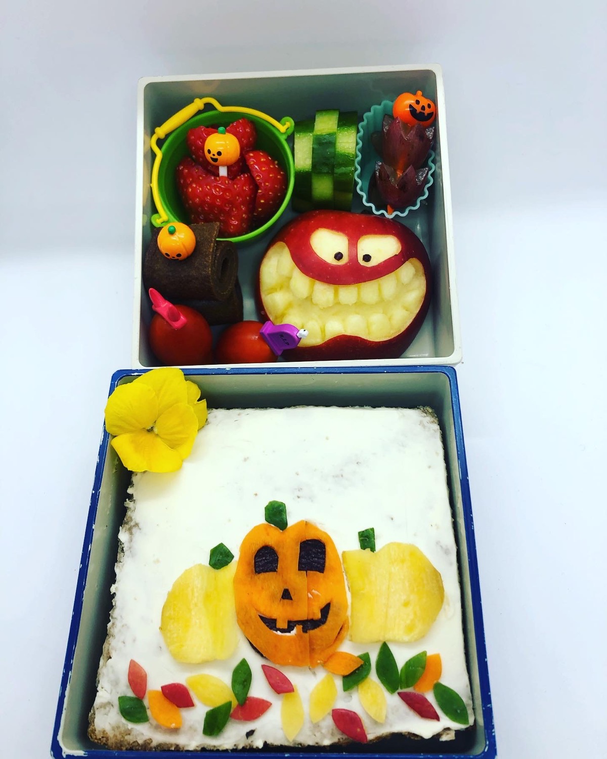 Lunchbox