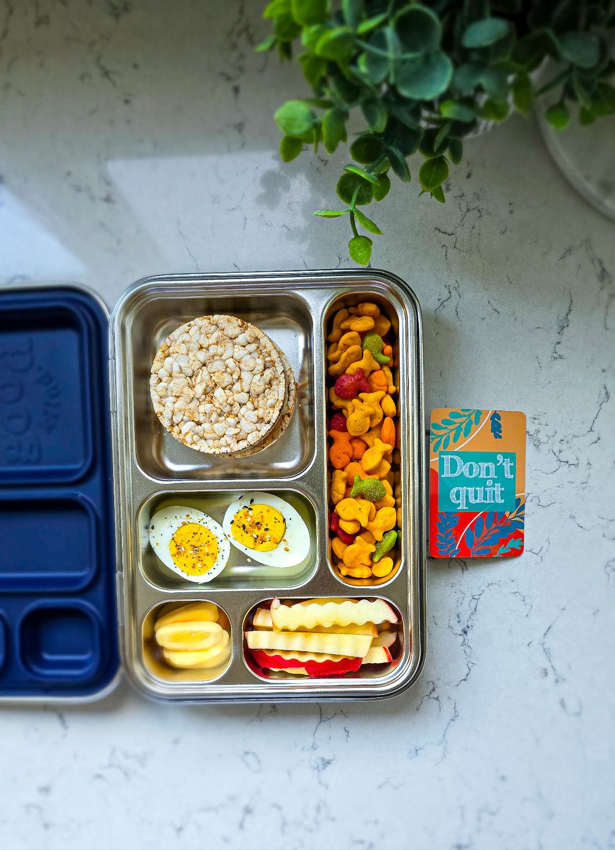 Lunchbox