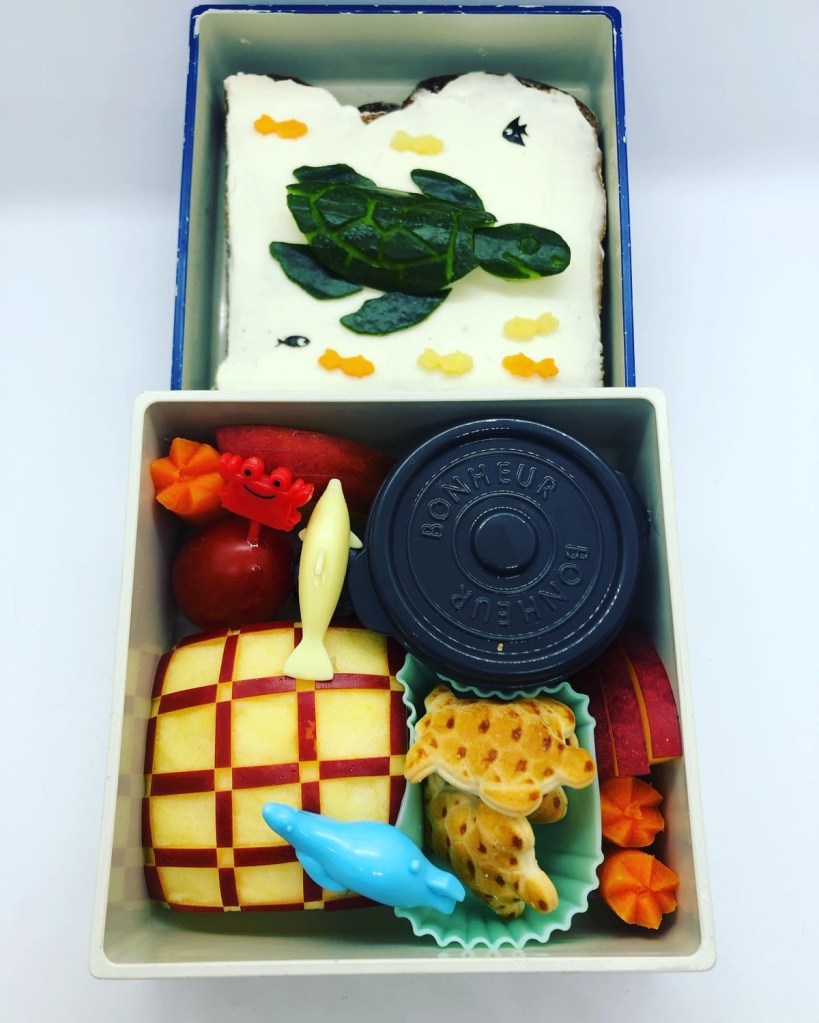 See turtle cucumber swimming in a kid's lunchbox