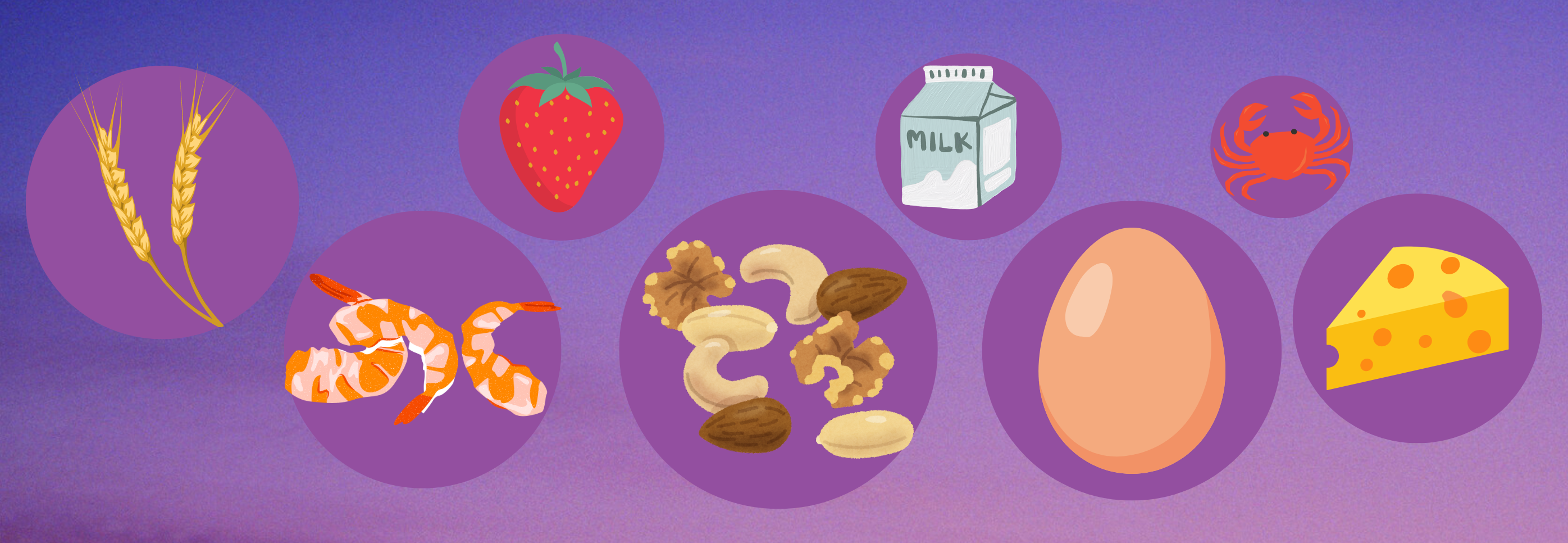 Allergy-Friendly Lunchbox Solutions