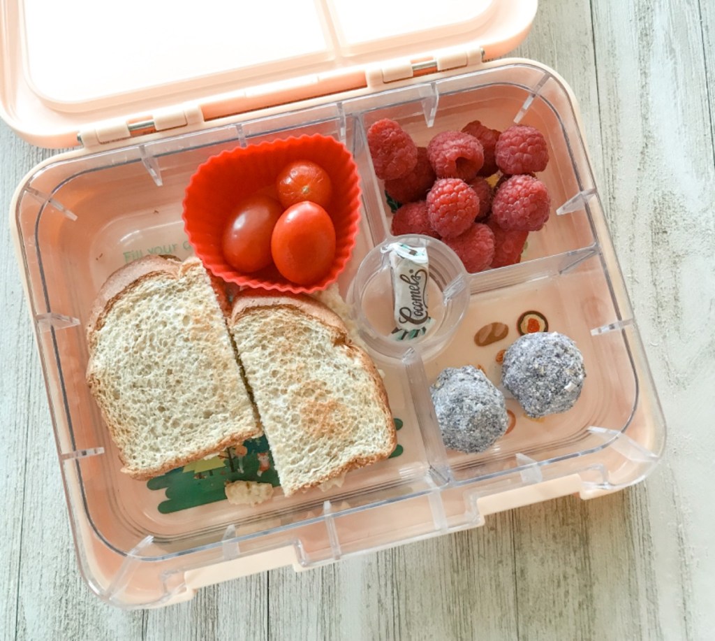 lunchbox idea with energy bites