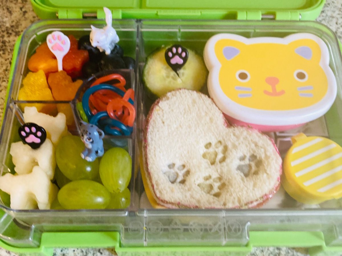 Kid-friendly lunchbox featuring sandwiches with cat paw cut-outs, served with colorful snacks for a fun and creative mealtime.