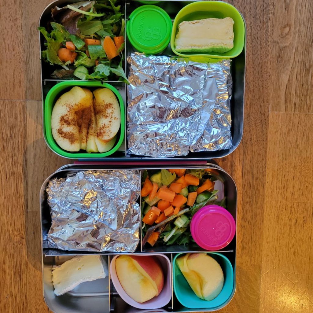 apple slices sprinkled with cinnamon in a lunchbox