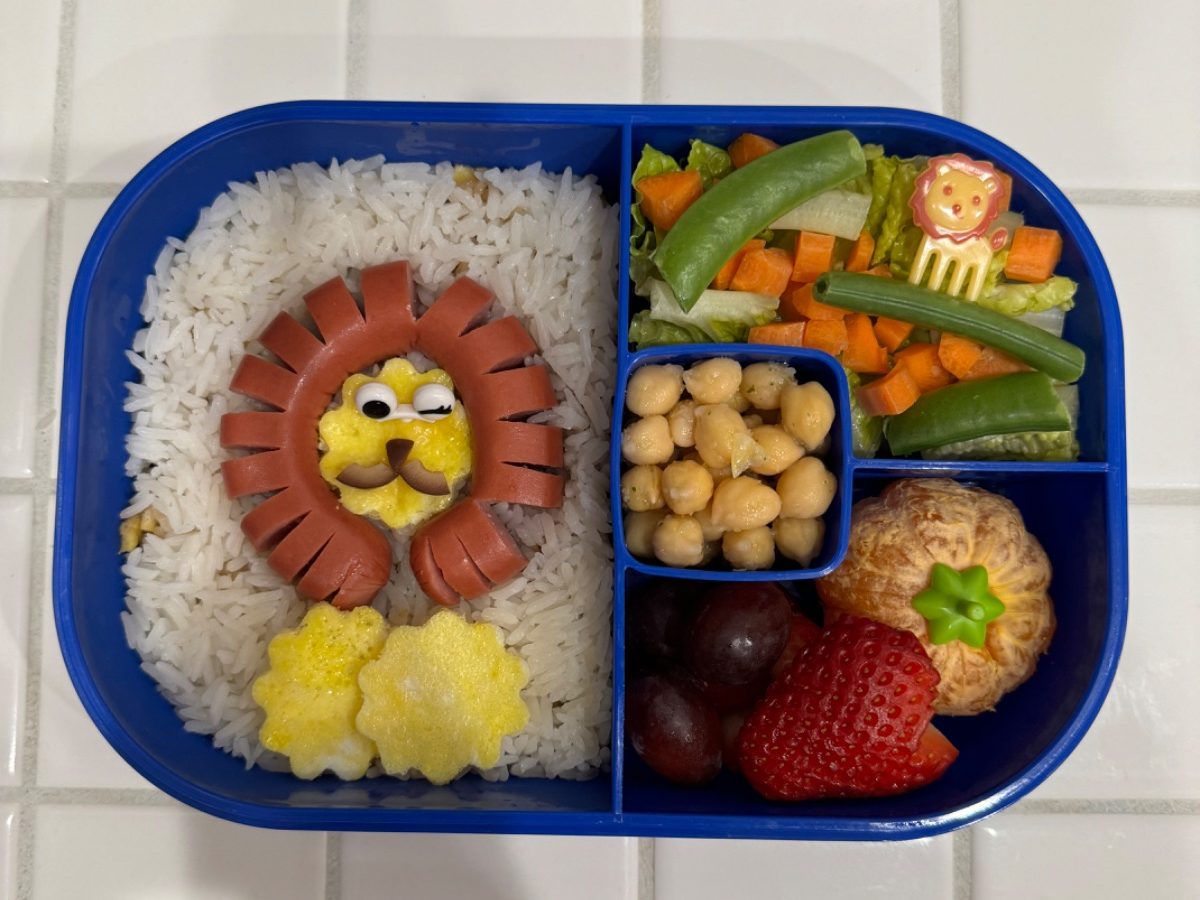 Safari themed lunchbox