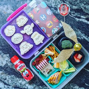 Gryffindor lunchbox idea for kids in a sistema lunch box