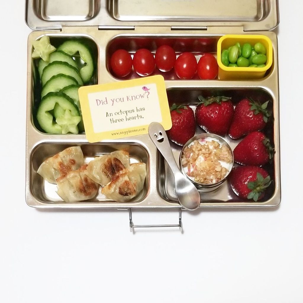 Cilantro wontons with veggies and fruits in a Planetbox stainless steel lunchbox for a kid's school lunch