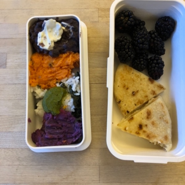 Orange and purple sweet potato purée in kid's bento school lunch box
