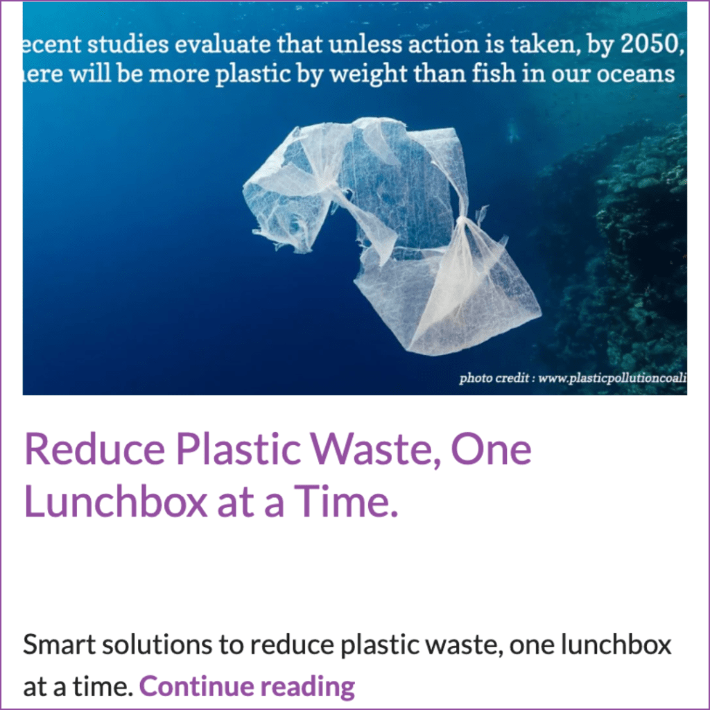 Blog post 10 foods Earth Month kids bento school lunch boxes teuko reduce plastic waste