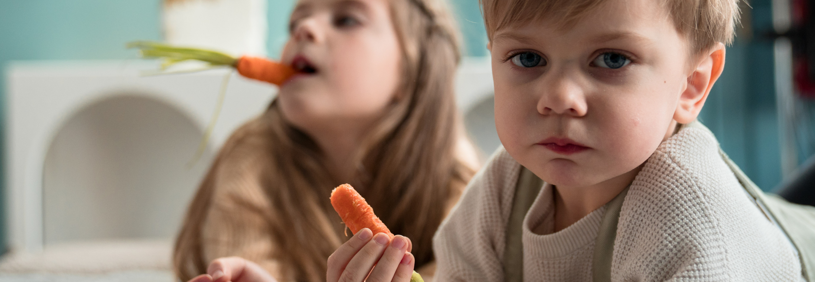 5 Ways to Add Carrots to Your Kid’s Lunch Boxes