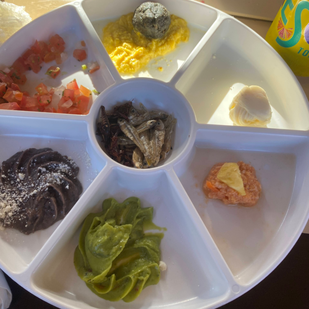 a plate containing samples of amazing, and also surprising, Mexican appetizers 