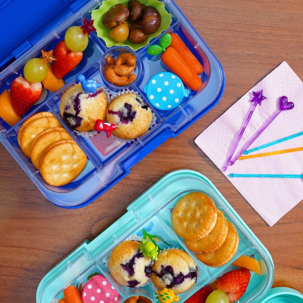 Lunchbox for kids with food picks