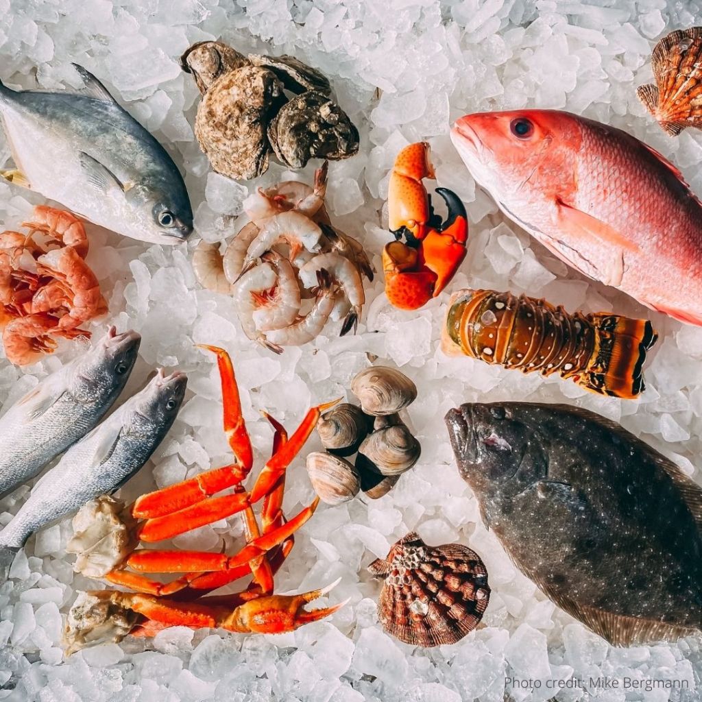 Food: fish and seafood. Superfood in Japanese school lunches for kids.