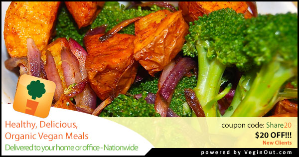 Vegin out,vegan meals delivered.