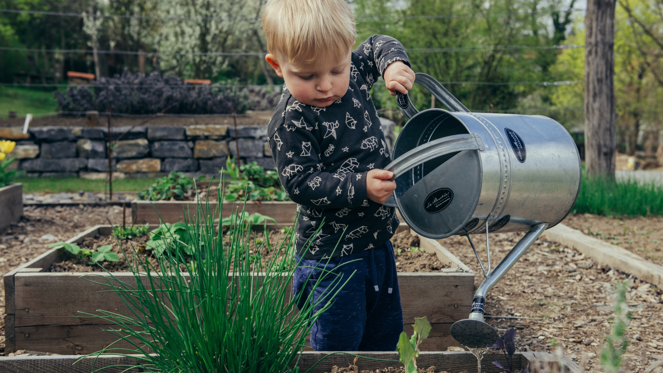 Kids, Let’s Grow Our Own Salads!