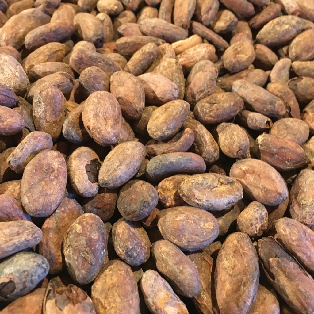 Teuko.com the lunchbox community. Dried cocoa beans.