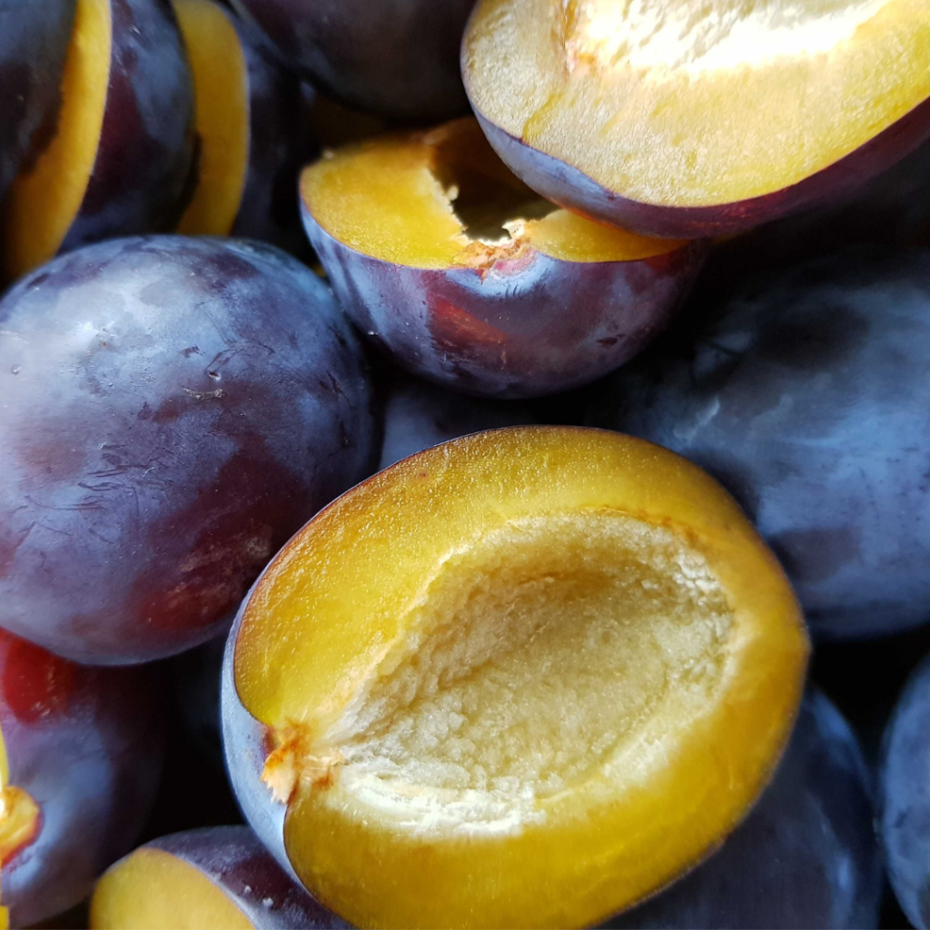 Plums contain over 15 different vitamins and minerals, in addition to fiber and antioxidants. Healthy foods for immunity. Teuko lunchbox community.