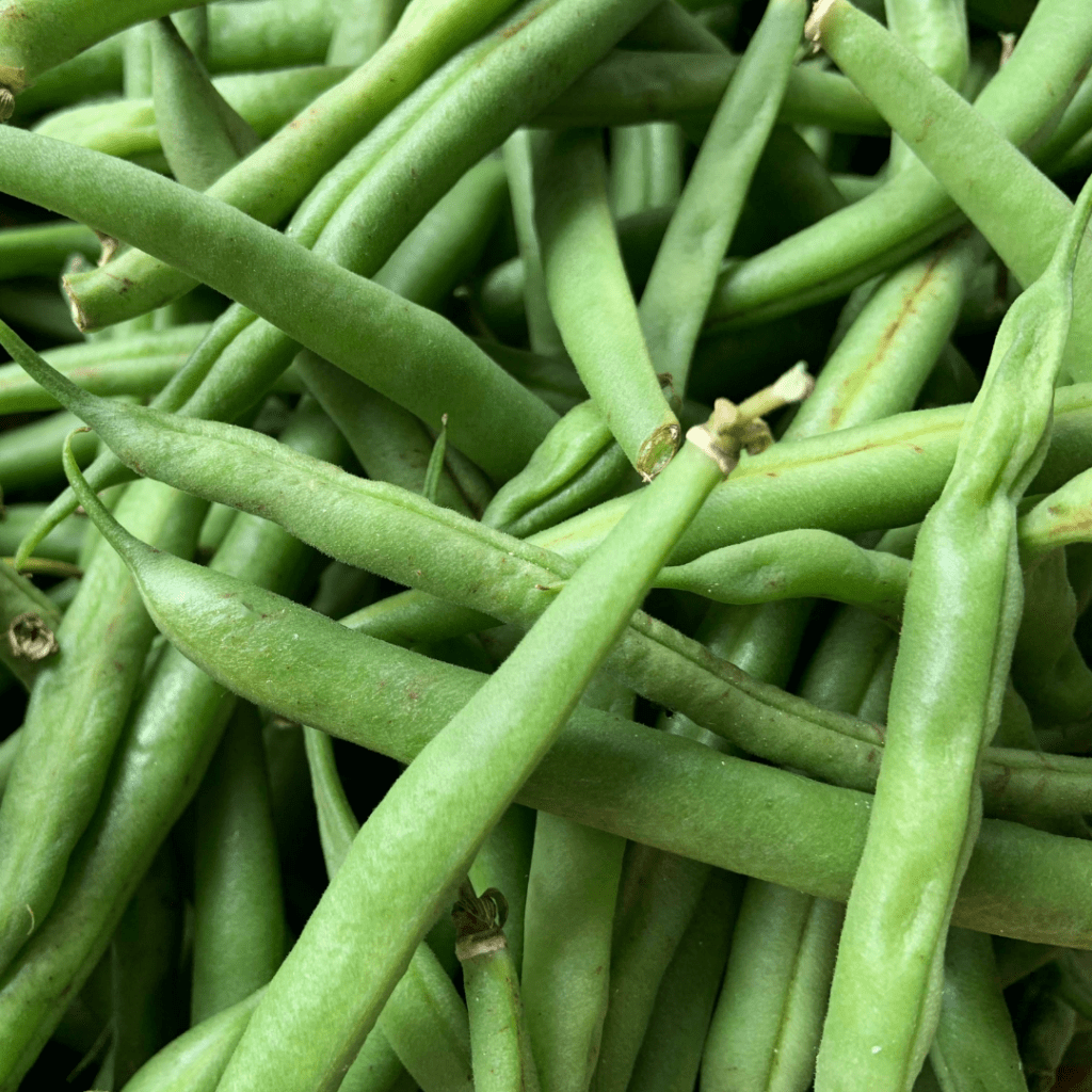 Green beans. Thanksgiving food. Teuko lunchbox community. Kids Lunch ideas.