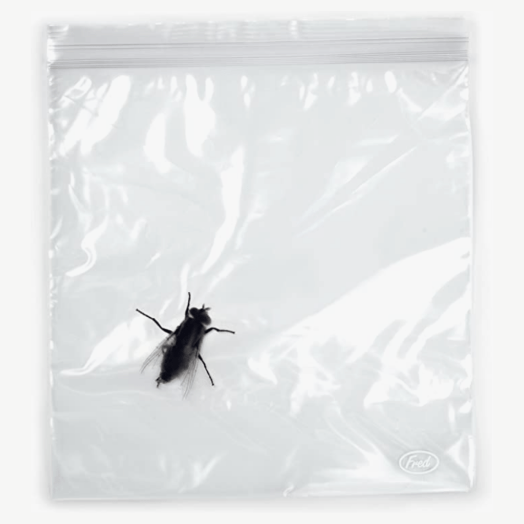 Ziploc with realistic design of bugs