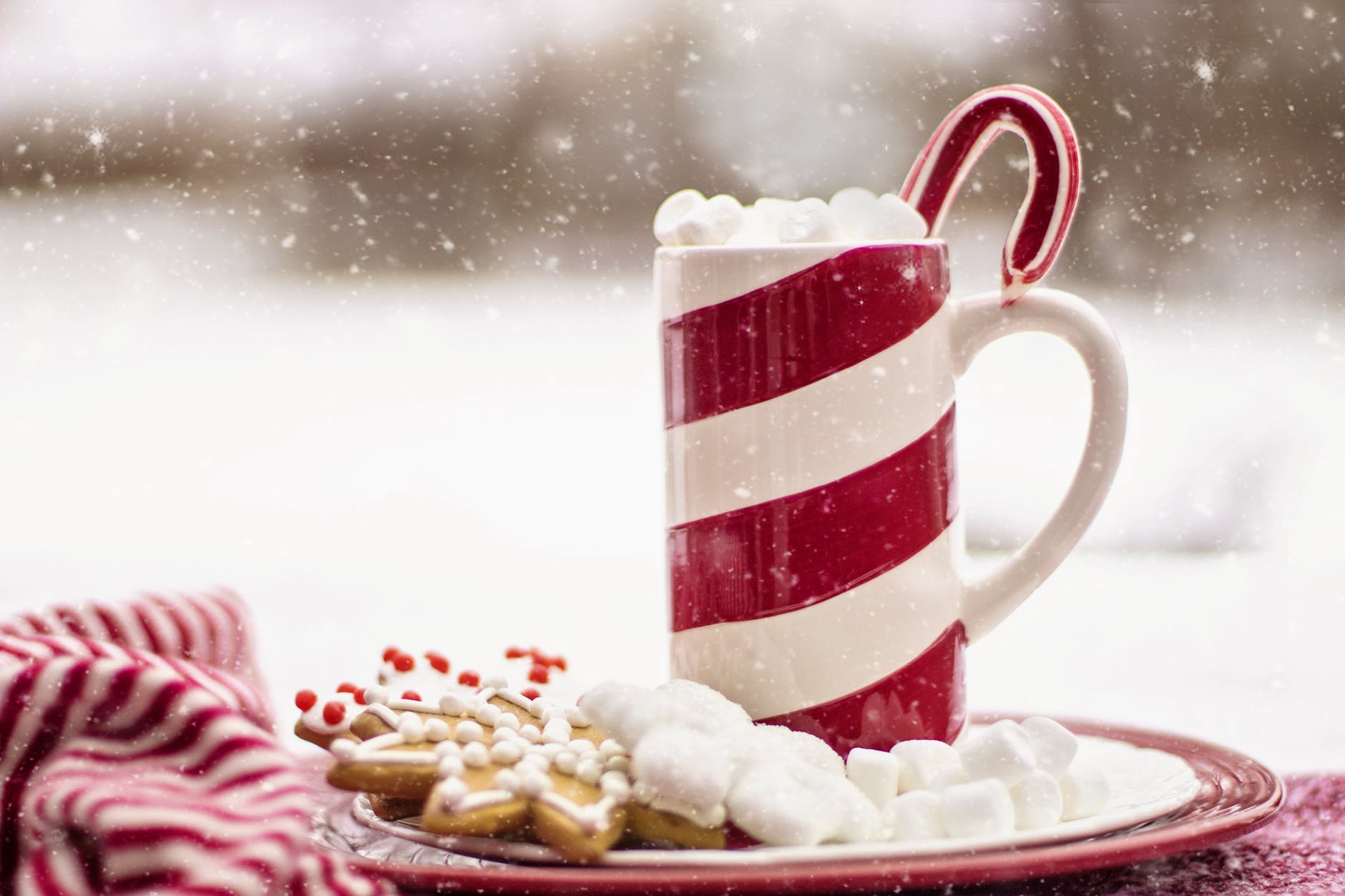 Holidays Themed Lunch Ideas