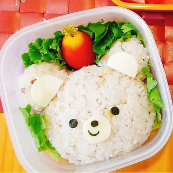 Creative Lunchbox Ideas (5)