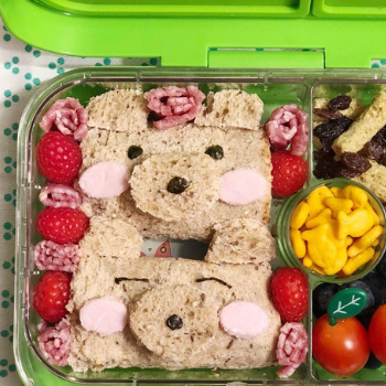 Creative Lunchbox Ideas (6)
