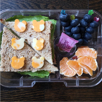 Creative Lunchbox Ideas (8)