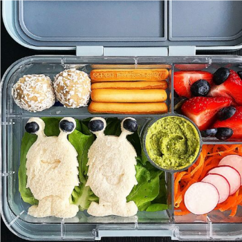 Creative Lunchbox Ideas (16)