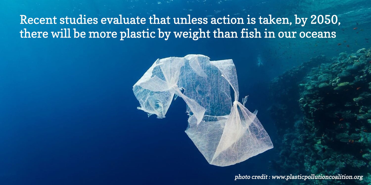 Reduce Plastic Waste, One Lunchbox at a Time.
