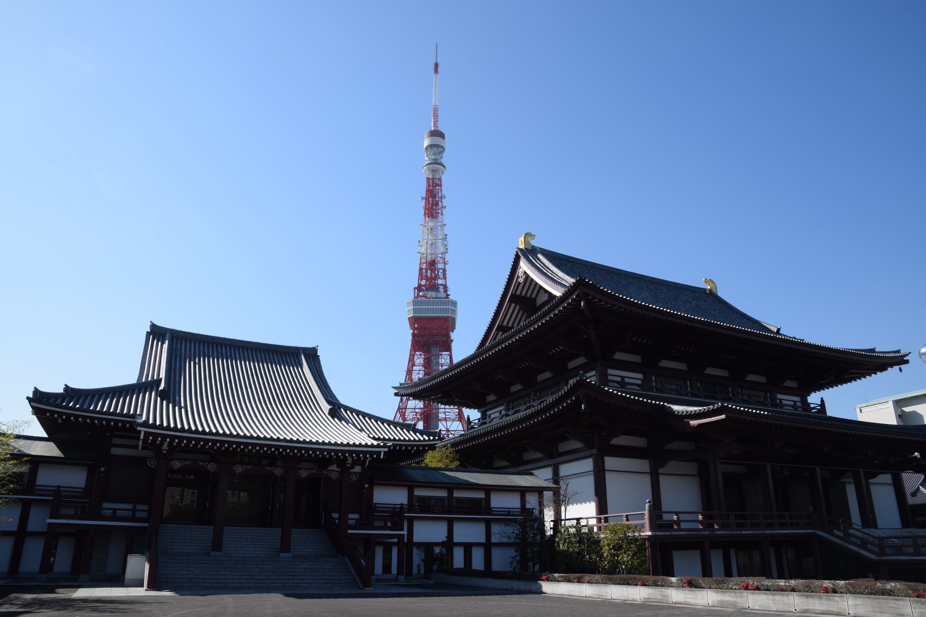 School Lunch – 3rd Stop: Tokyo!