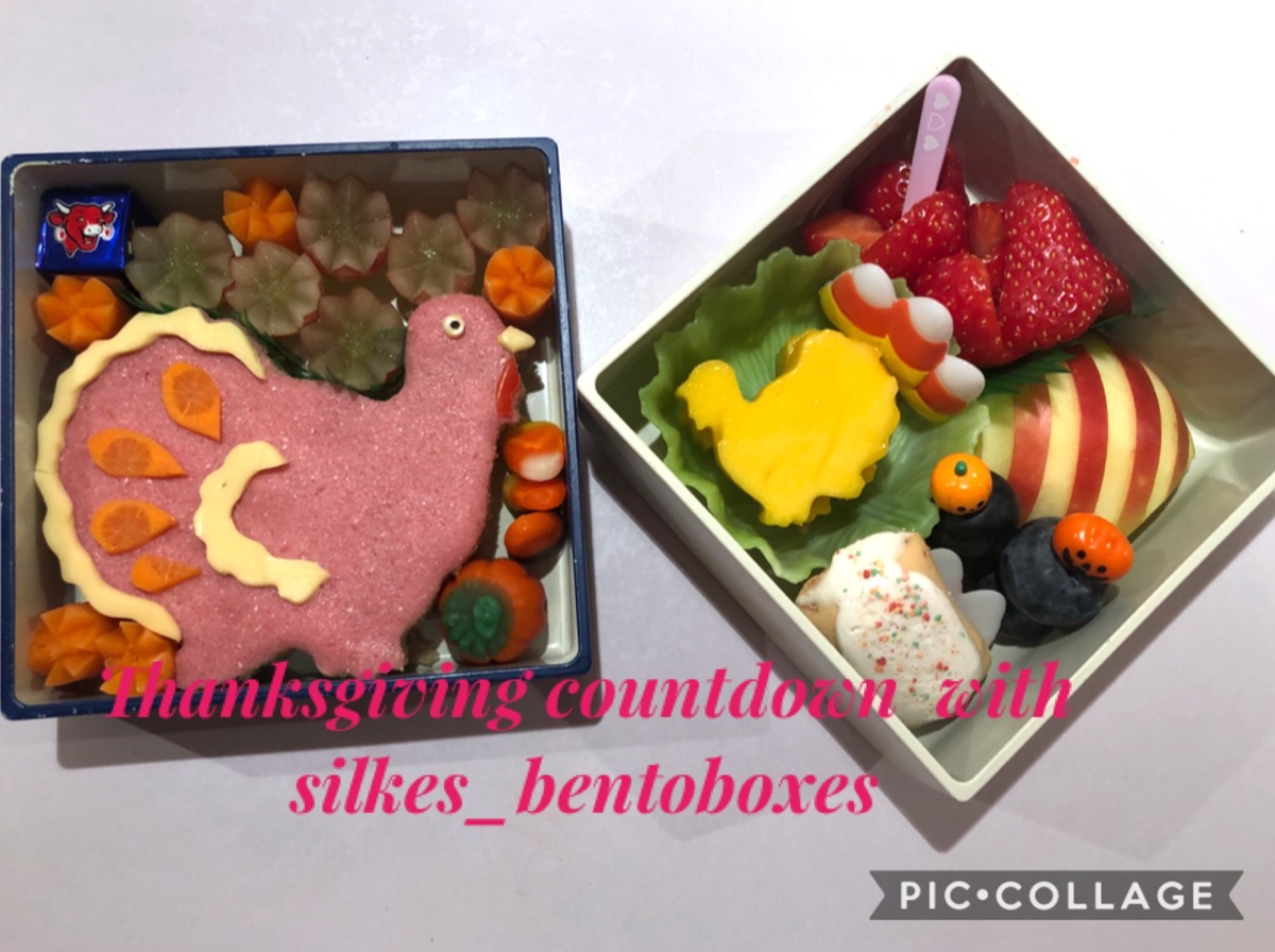 Turkey — lunchbox by Silkes bentoboxes