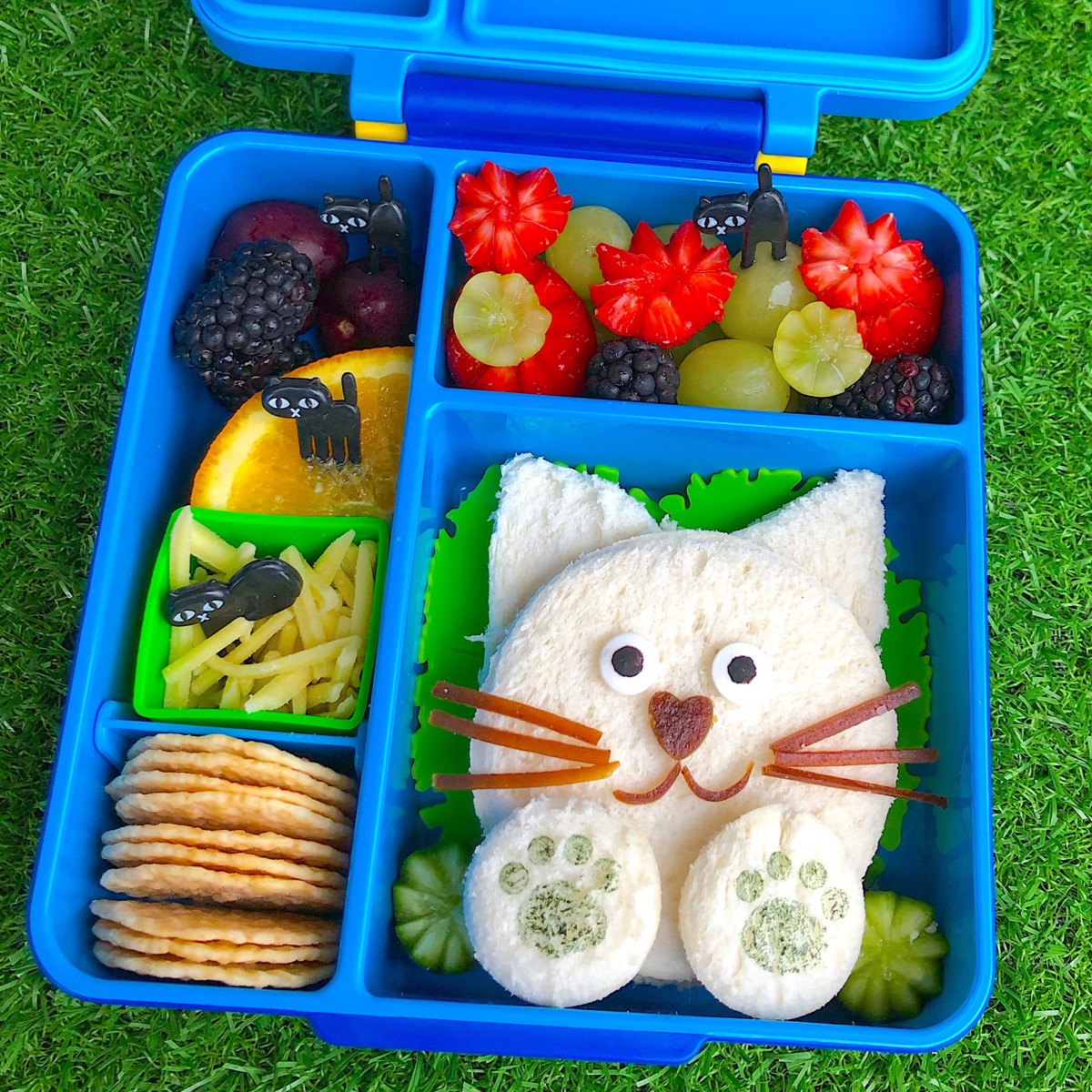 Lunchbox