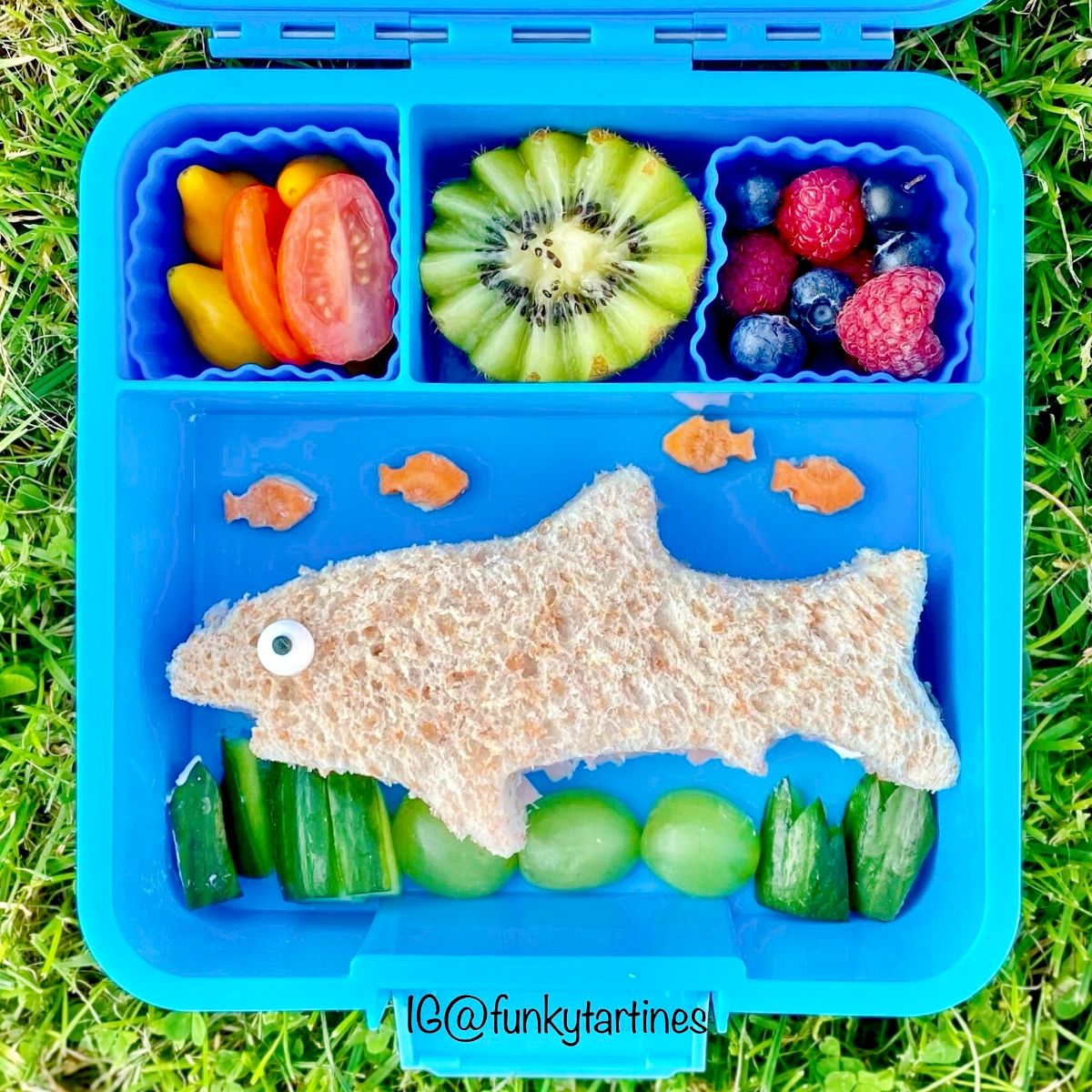 Lunchbox
