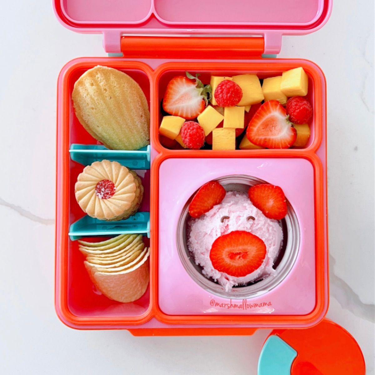Summer Picnic Lunch — lunchbox by MarshmallowMama