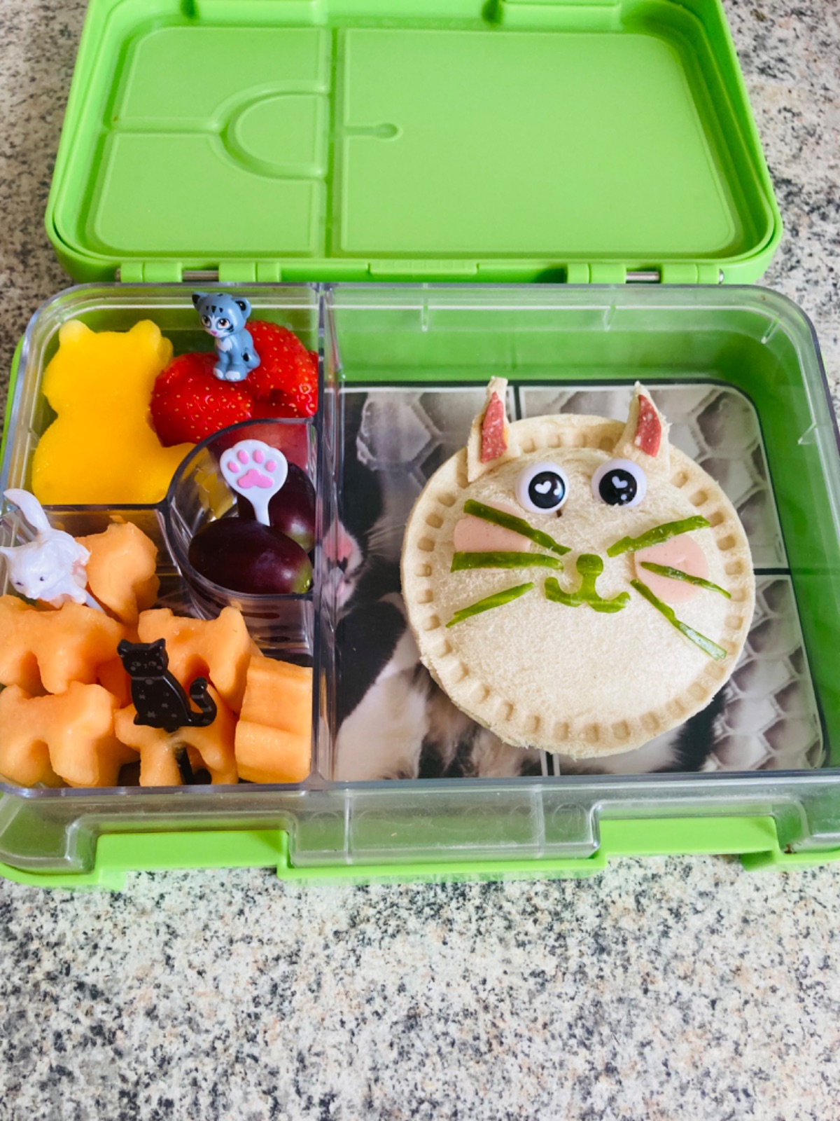 Lunchbox