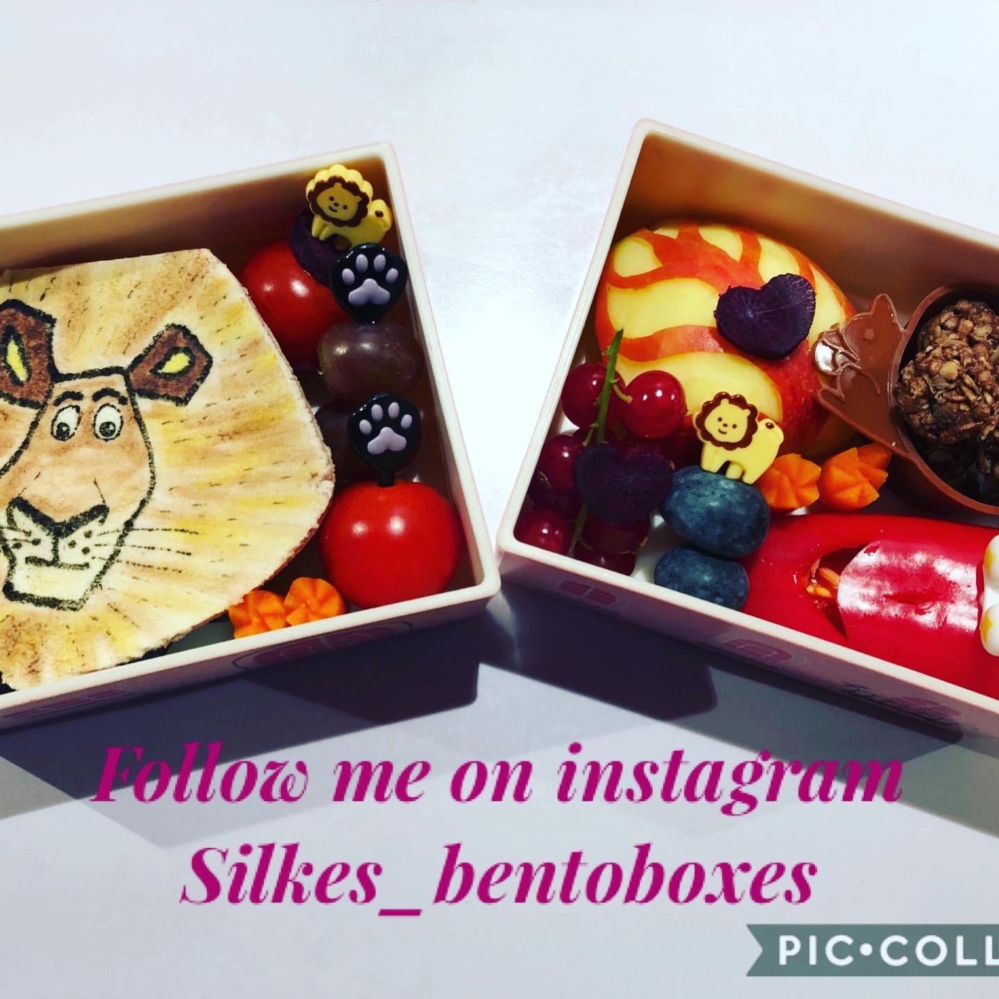 Alex Madagascar movie — lunchbox by Silkes bentoboxes
