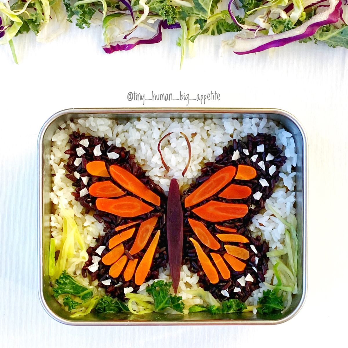 “in the enchanted forest of monarch butterflies” — lunchbox by @tiny_human_big_appetite