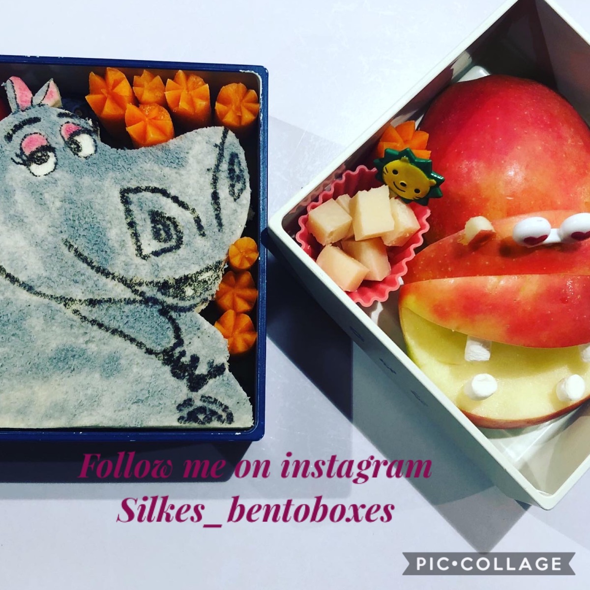 Lunchbox
