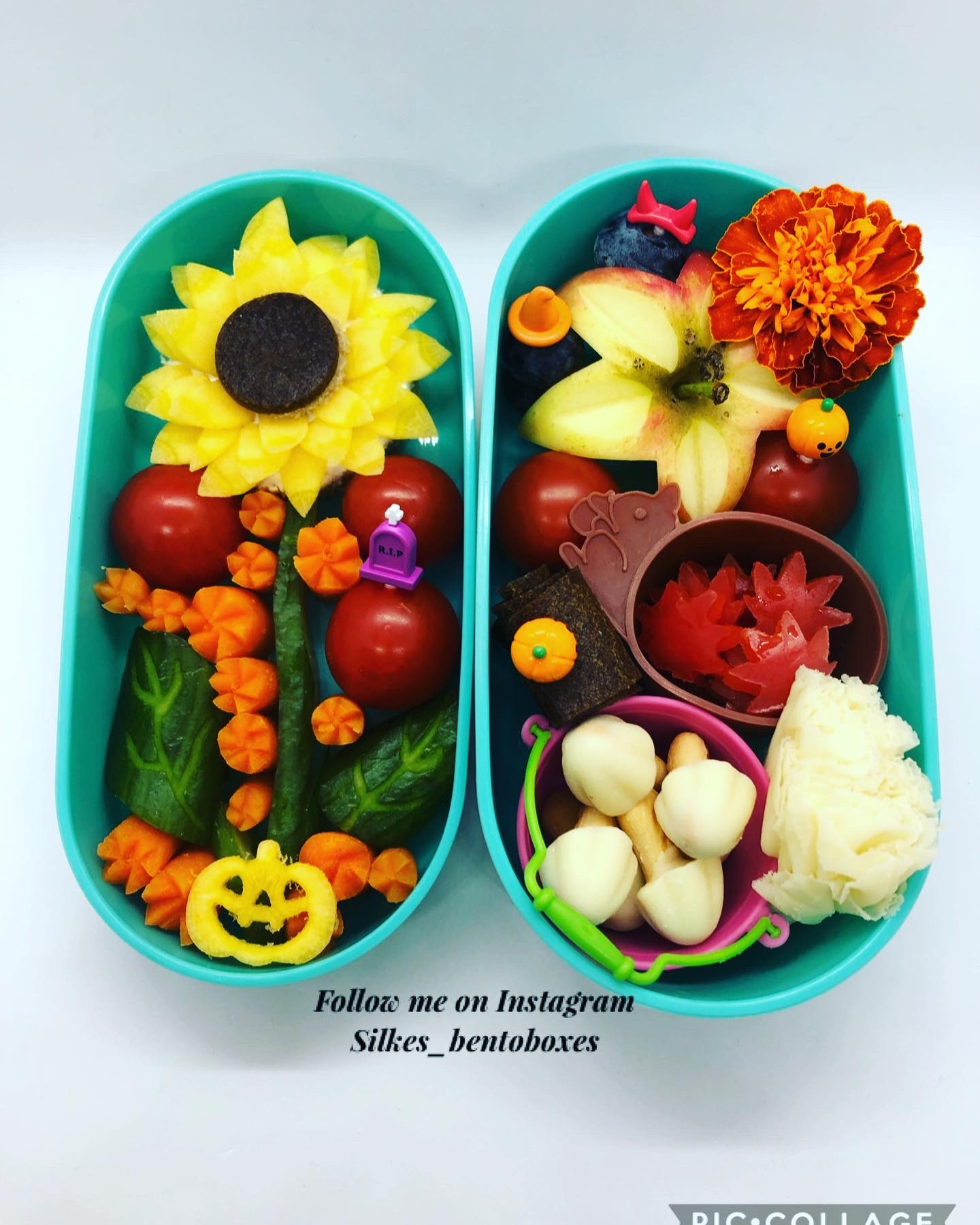 Lunchbox
