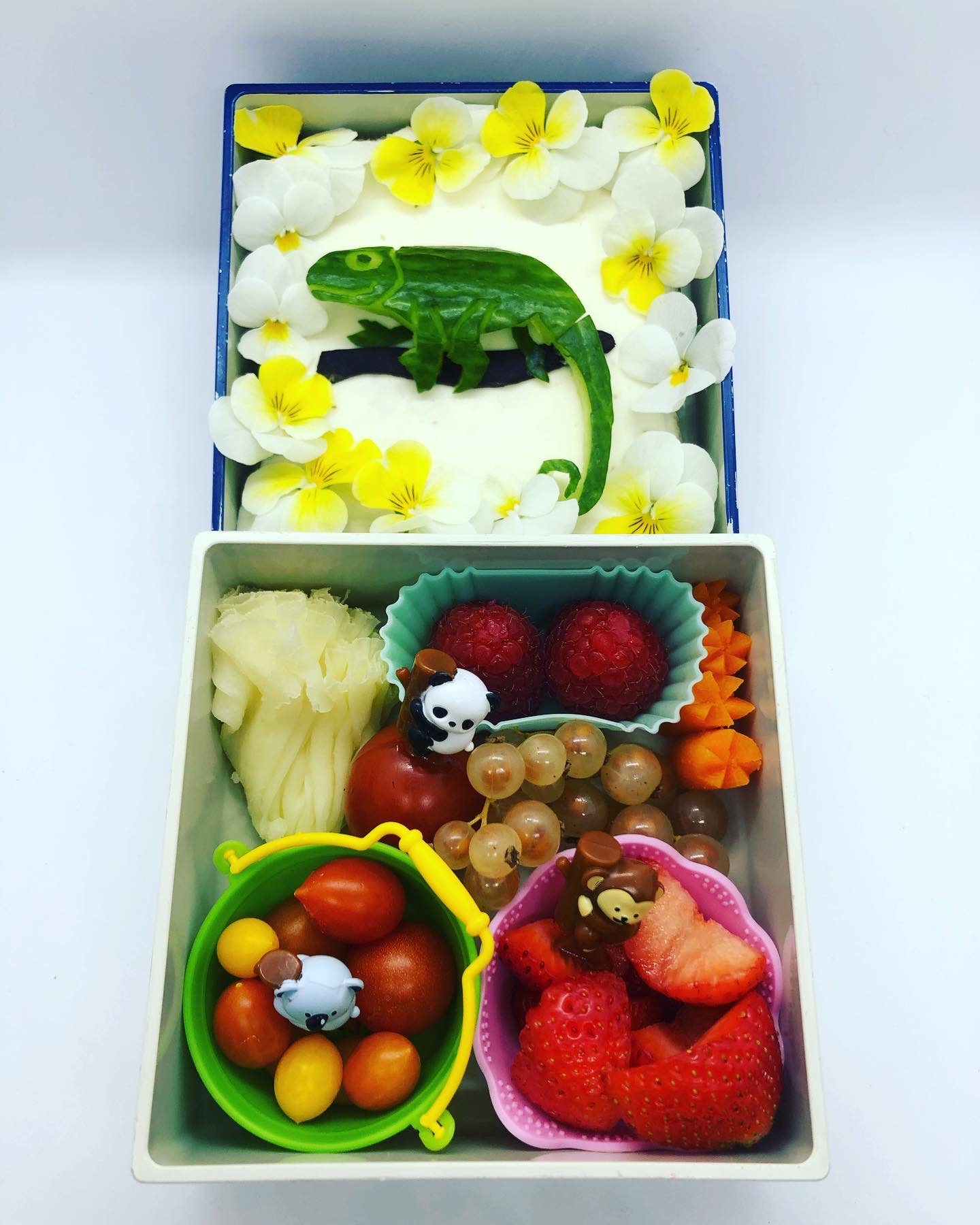 Chameleon — lunchbox by Silkes bentoboxes