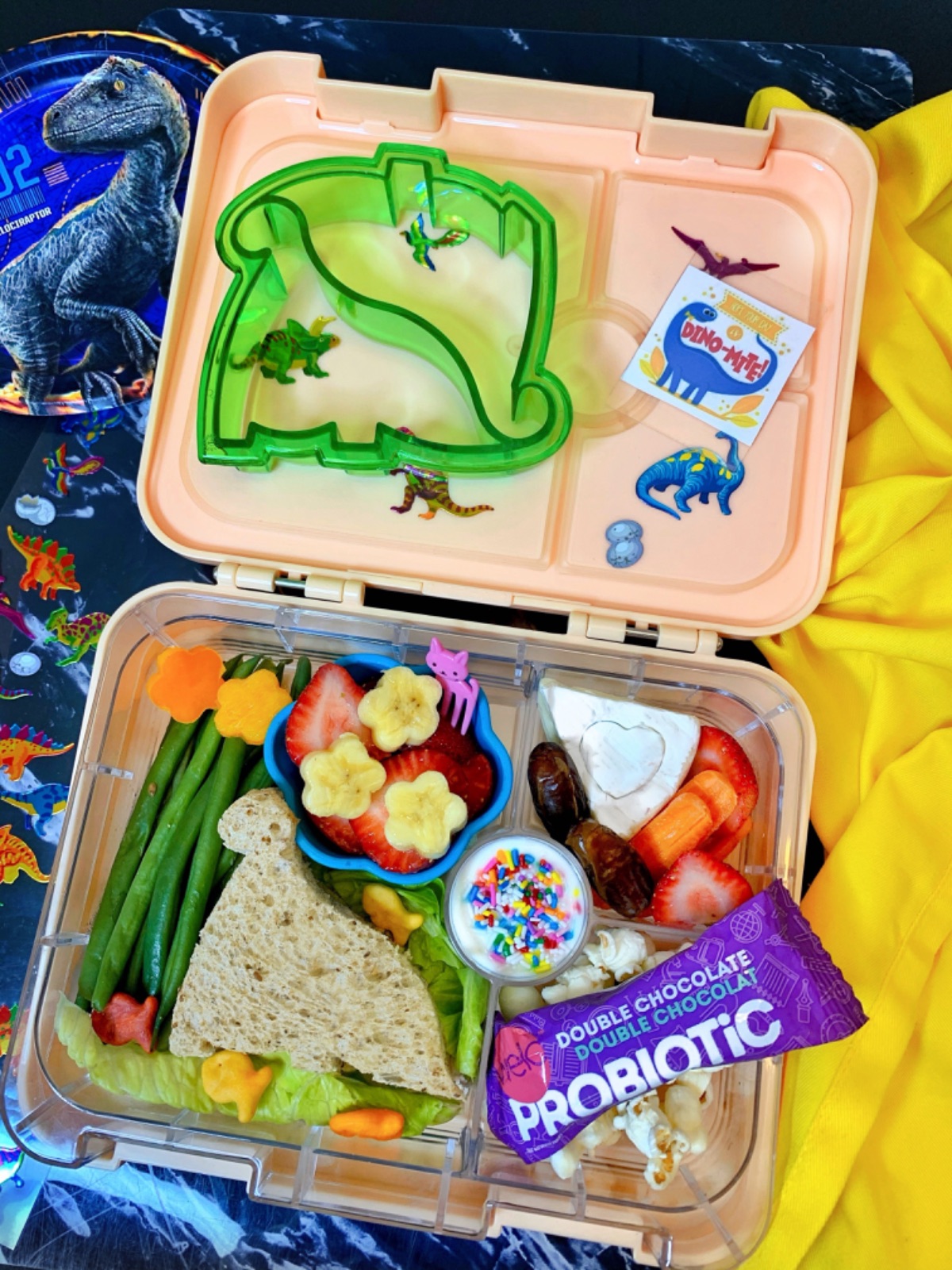 Dinosaur Themed Lunchbox — lunchbox by The Organic French Mom