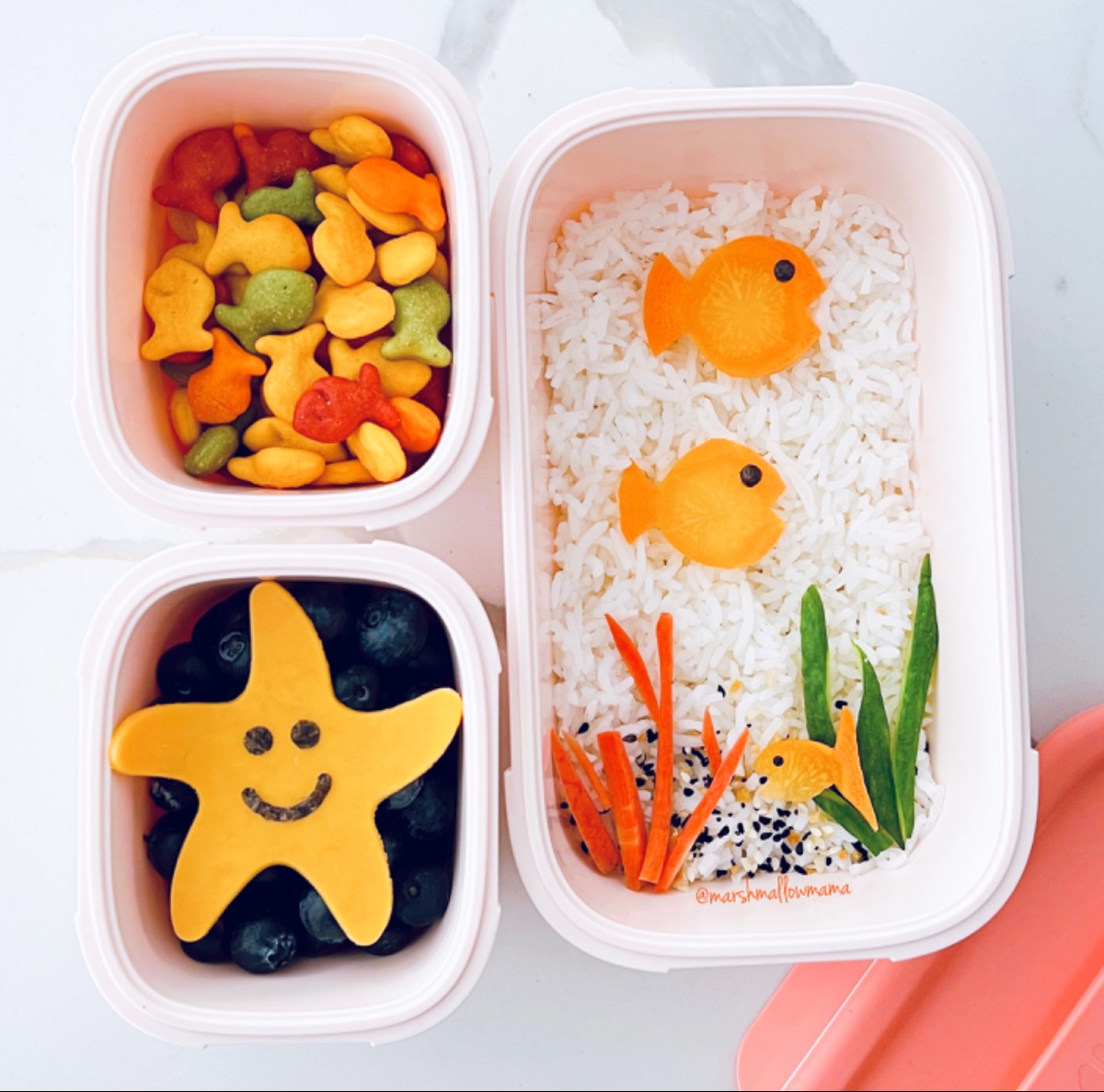 Lunchbox