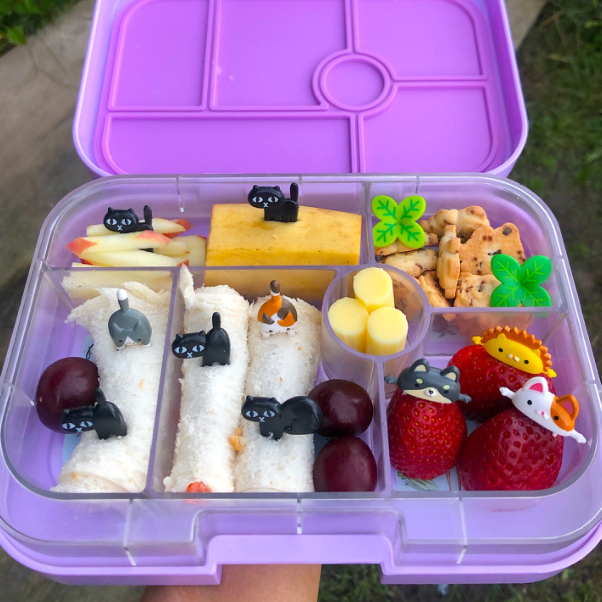 Lunchbox