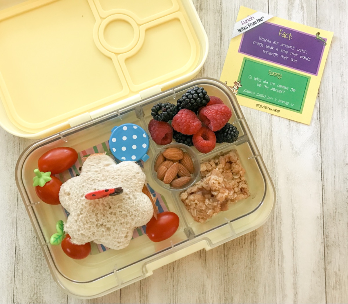 Lunchbox