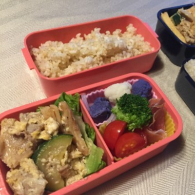 Lunchbox Idea — lunchbox by Junko